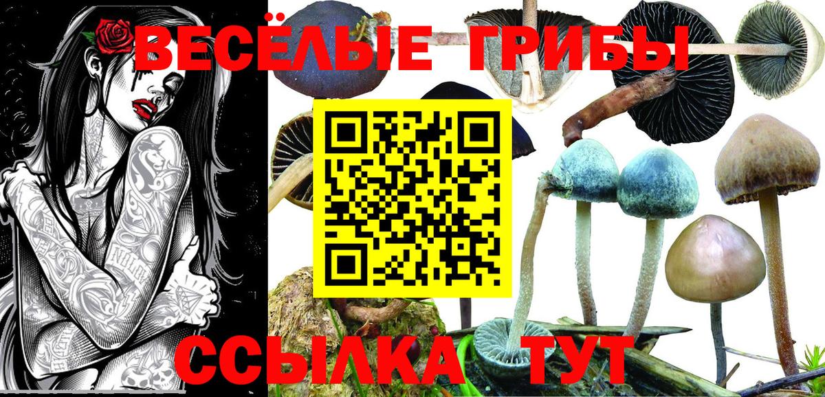 Галлюциногенные грибы MAGIC MUSHROOMS Калуга